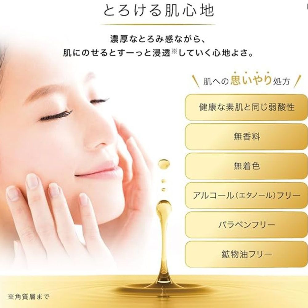 Rohto Hada Labo Gokujyun Premium Hyaluron Lotion 170mL